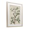 Stupell Industries White Floral Blossom Tree Framed Print Under Glass, design by Petal Prints Design